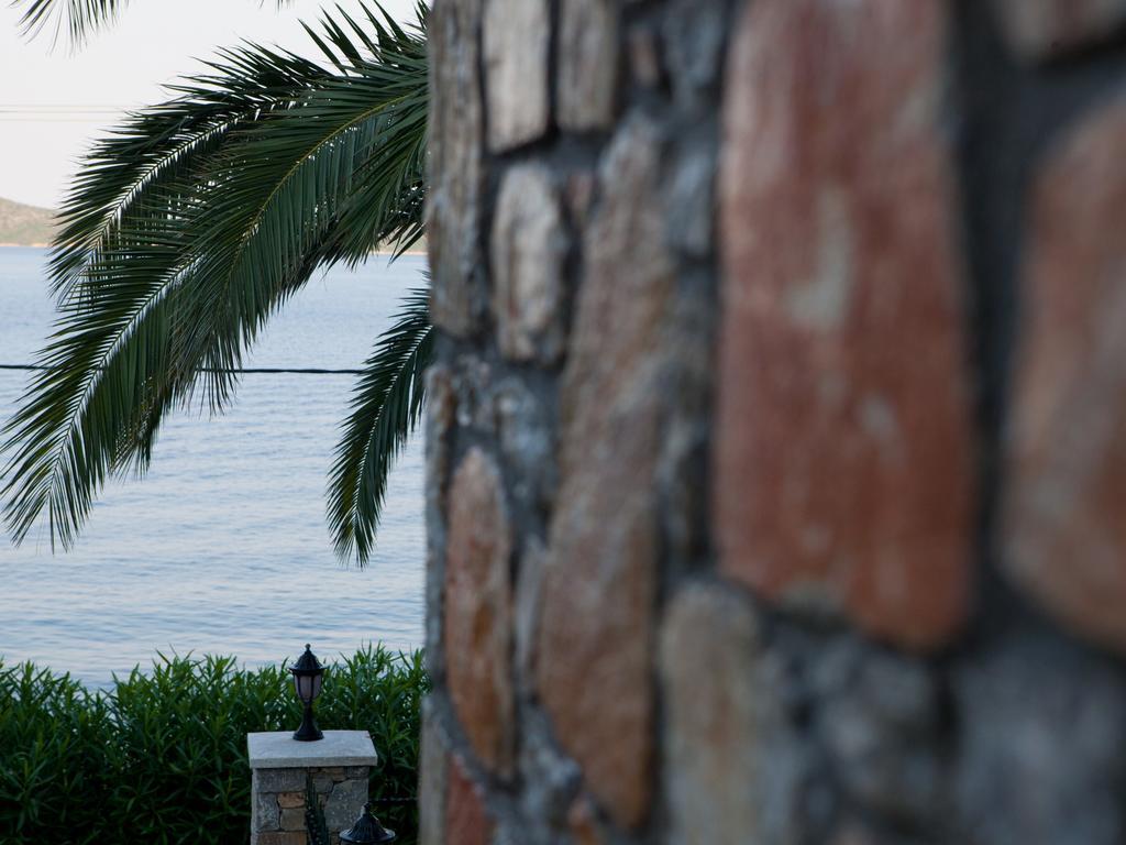 Alonissos Muses Villas Kalamakia Екстериор снимка